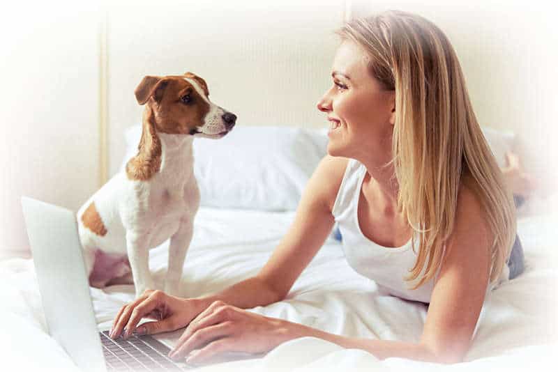 Online-Hundetraining - Hey-Fiffi.com